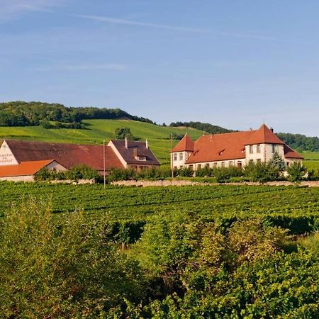 Domaine Du Bouxhof Appartement Mittelwihr Buitenkant foto