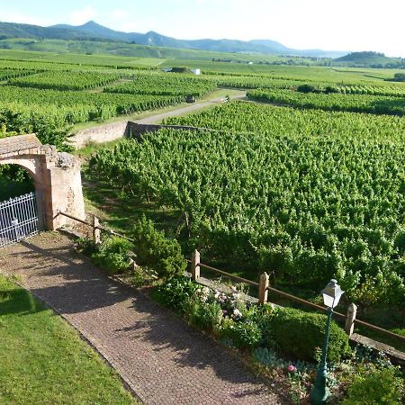 Domaine Du Bouxhof Appartement Mittelwihr Buitenkant foto