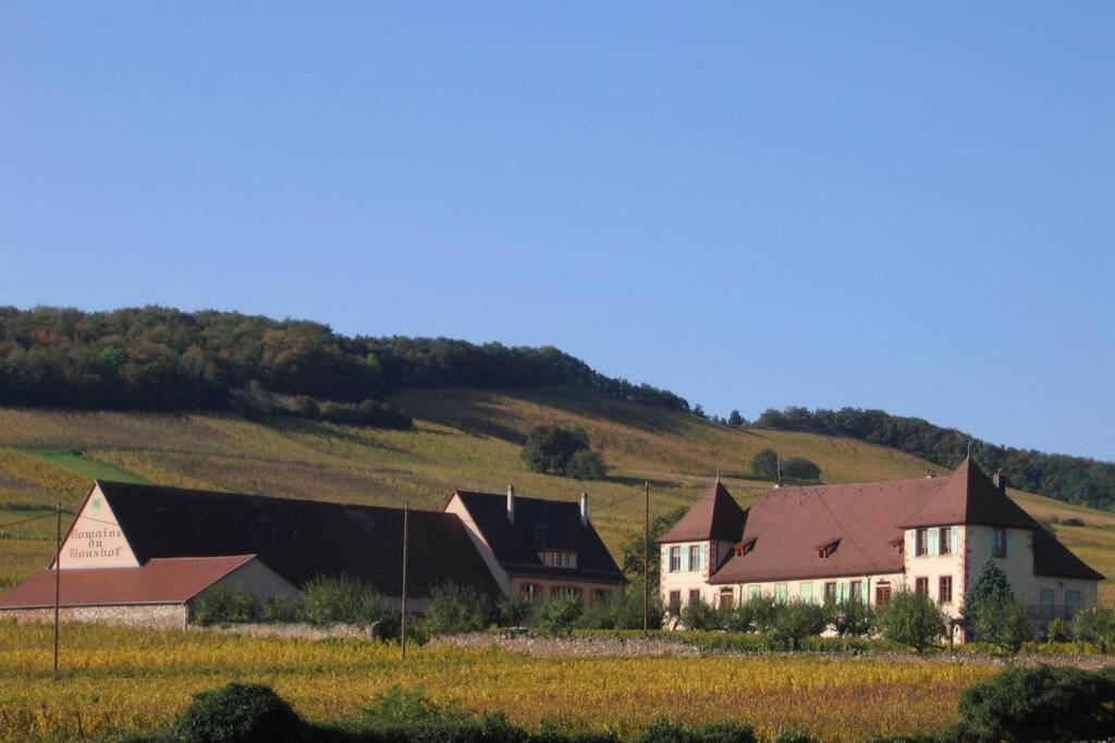 Domaine Du Bouxhof Appartement Mittelwihr Buitenkant foto