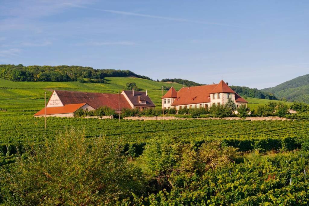 Domaine Du Bouxhof Appartement Mittelwihr Buitenkant foto