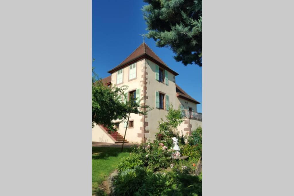 Domaine Du Bouxhof Appartement Mittelwihr Buitenkant foto