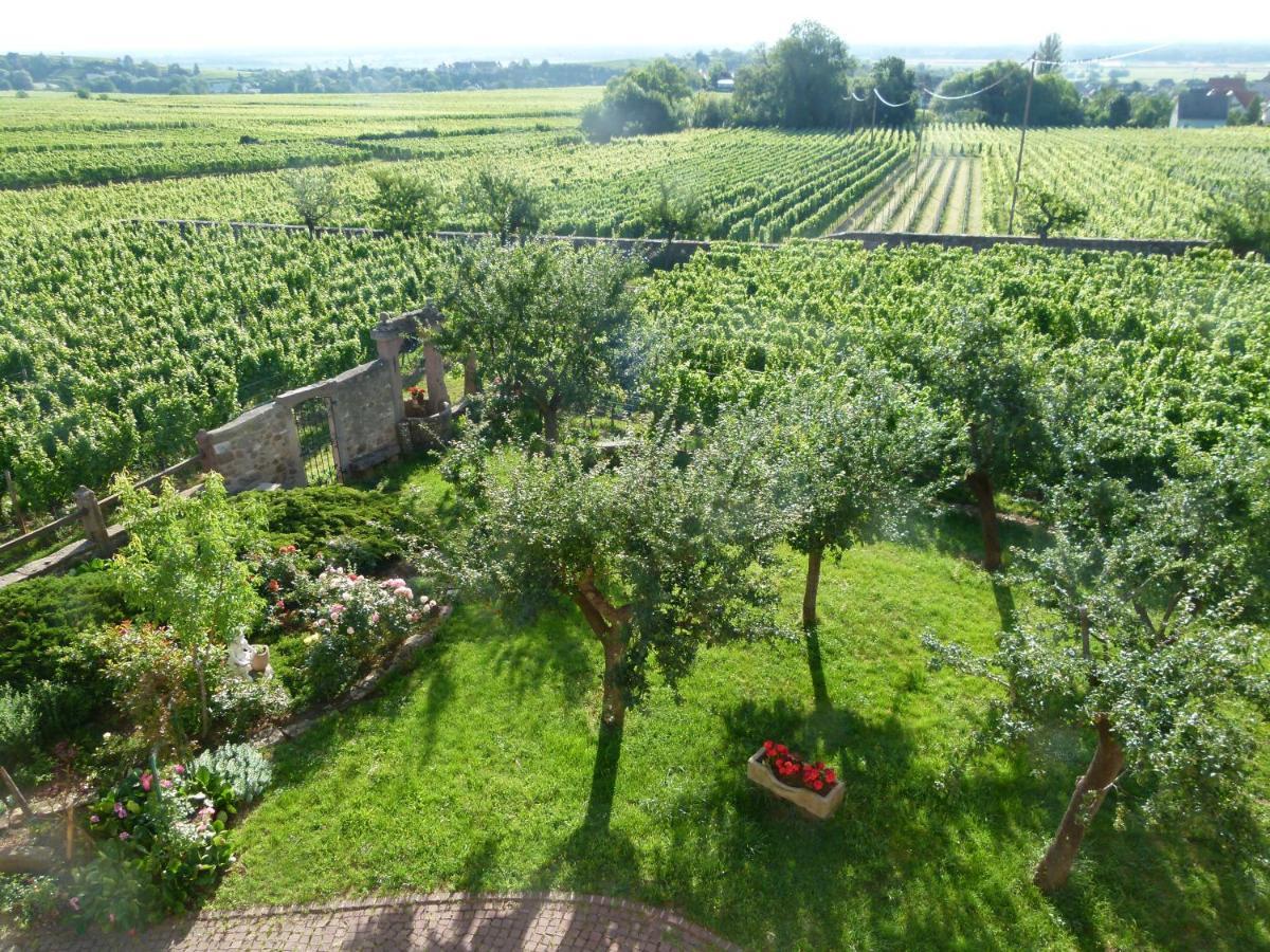 Domaine Du Bouxhof Appartement Mittelwihr Buitenkant foto